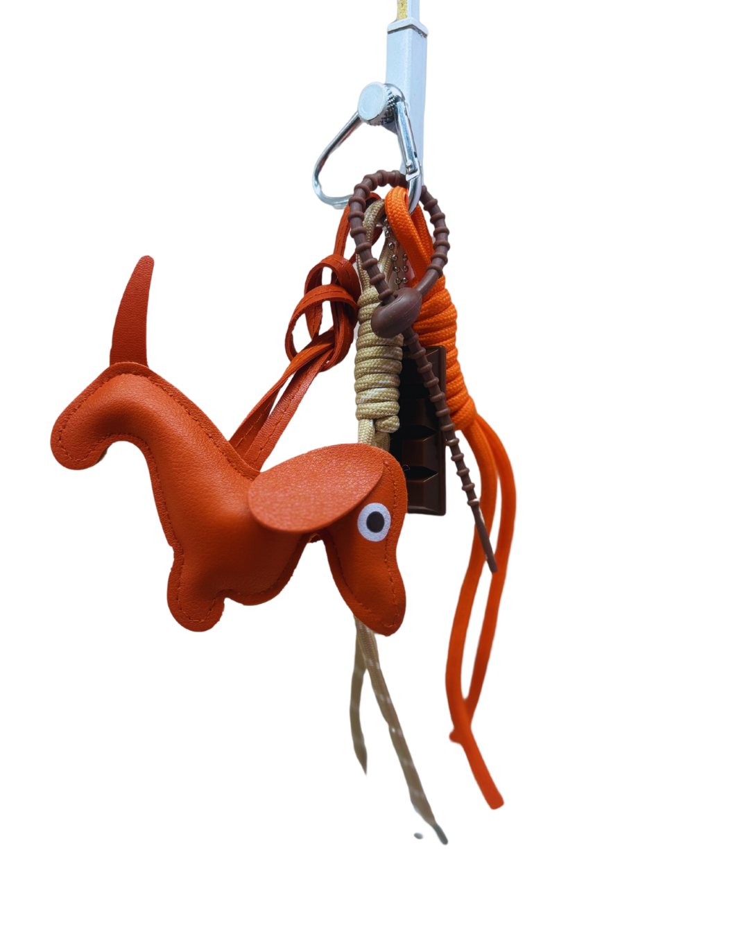 Charms dog
